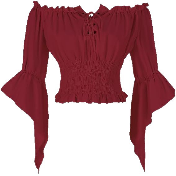 Renaissance Medieval Aristocra - Blouse Off Shoulder 评论和价格